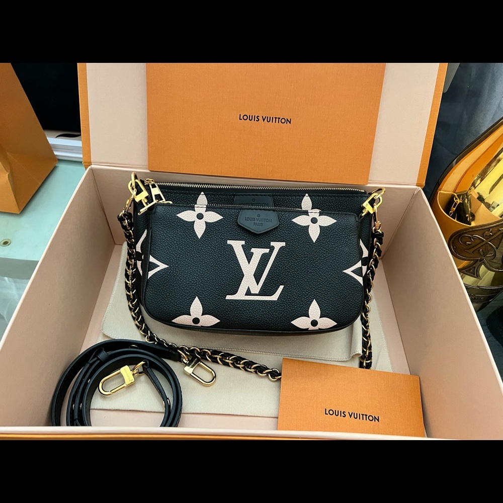 Louis Vuitton Multi Pochette